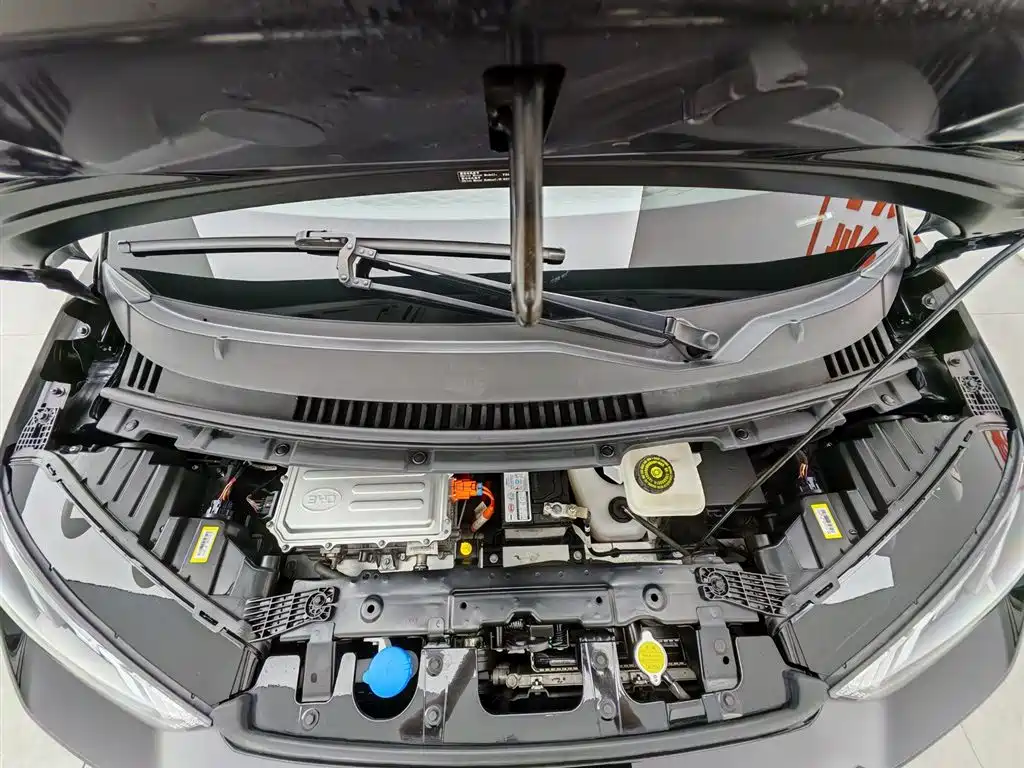 BYD Seagull 2024