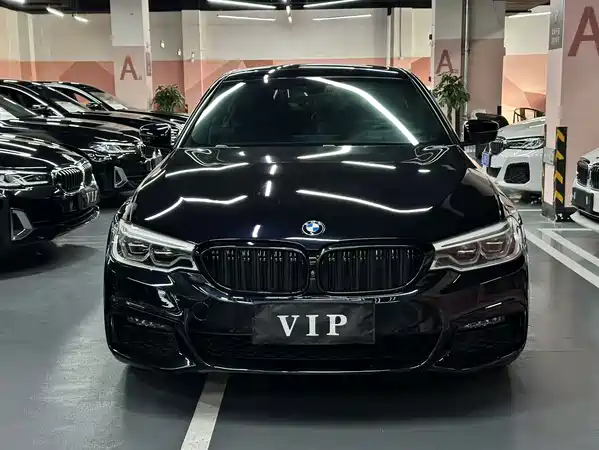 BMW 5 Series 2019