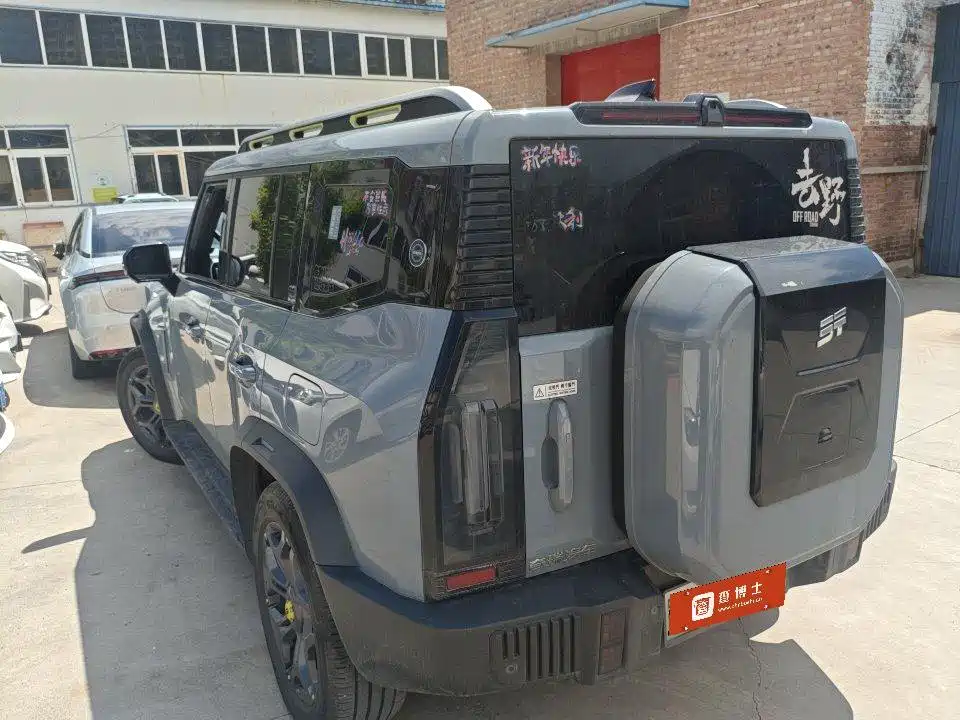 Shanhai Traveller C-DM 2024 — фото 4