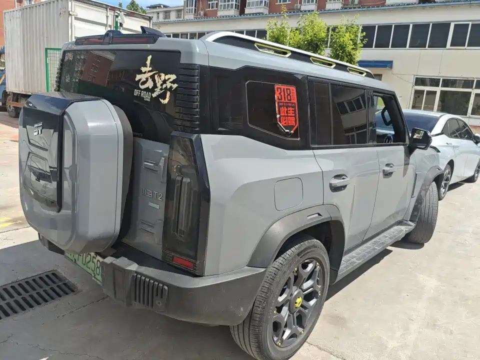 Shanhai Traveller C-DM 2024 — фото 3