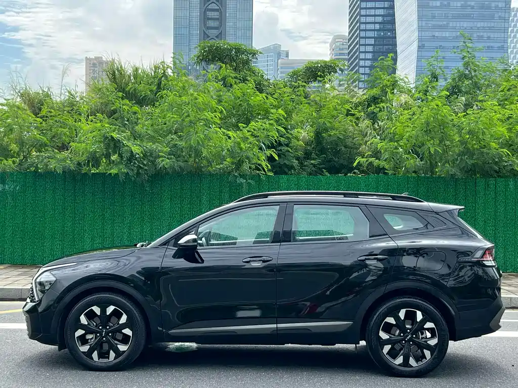 Kia Lion Platinum Expands The Boundary 2024 — фото 8
