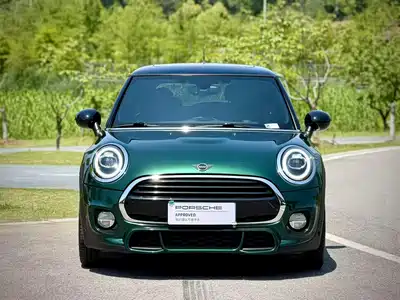 MINI MINI 2019