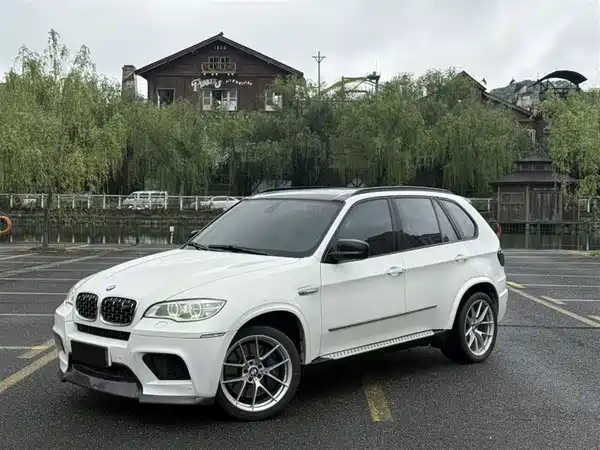 BMW X5 2010