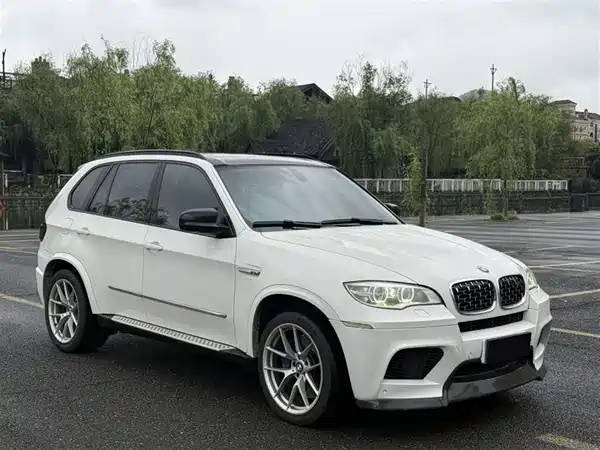BMW X5 2010
