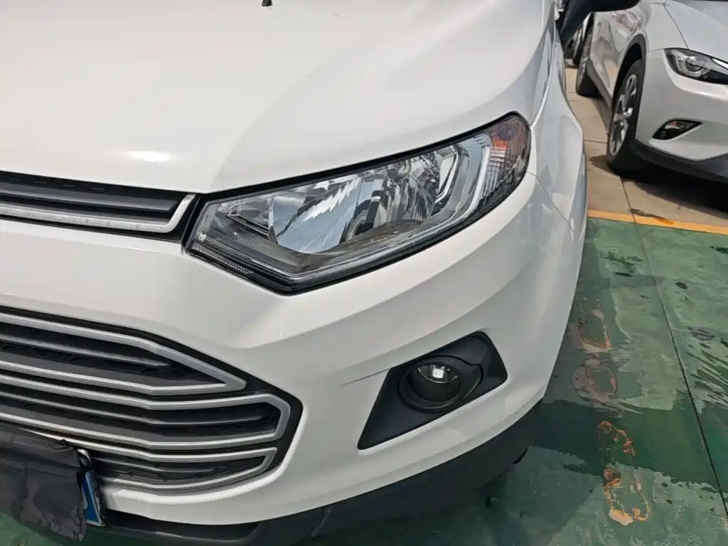 Ford EcoSport 2015 — фото 24
