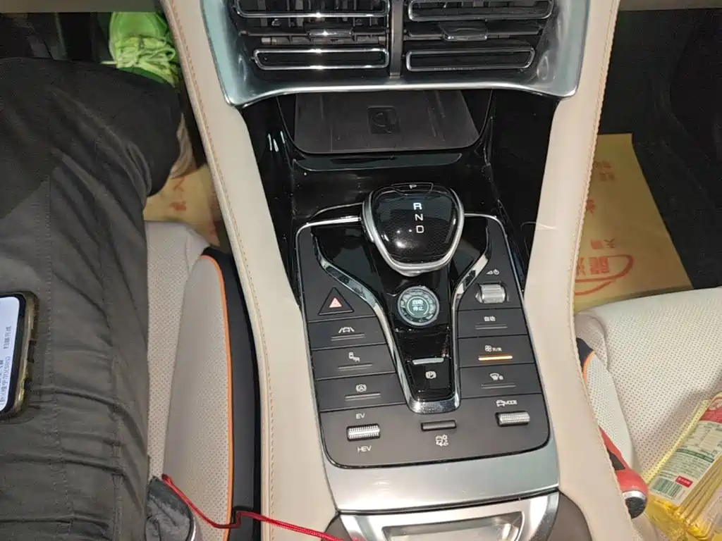 BYD Song PLUS New Energy 2022 — фото 14