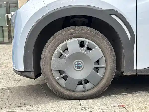 BYD Seagull 2024