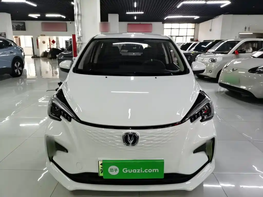 Changan Benben E-Star 2020