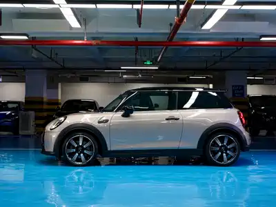 MINI MINI 2024