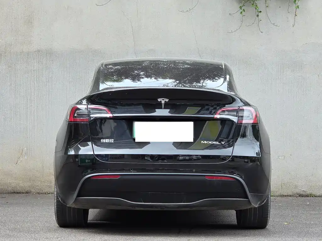 Tesla Model Y 2023 — фото 8