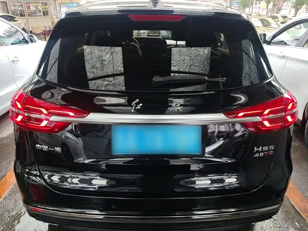 Hongqi HS5 2019
