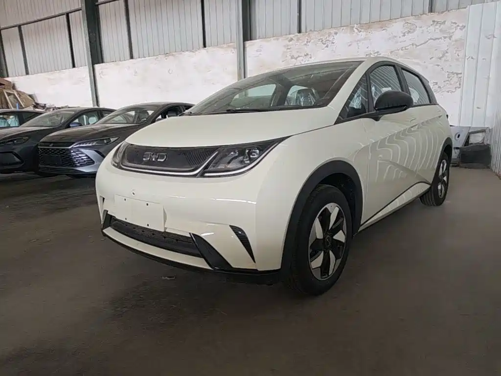 BYD Dolphin 2026
