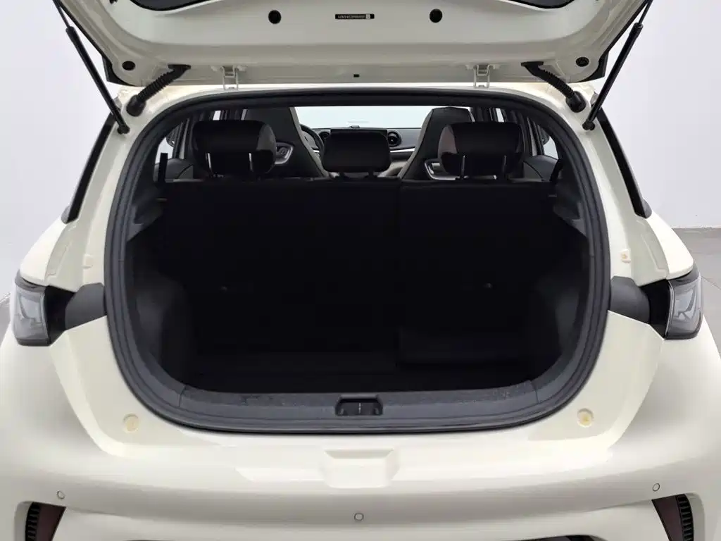 BYD Dolphin 2023 — фото 16
