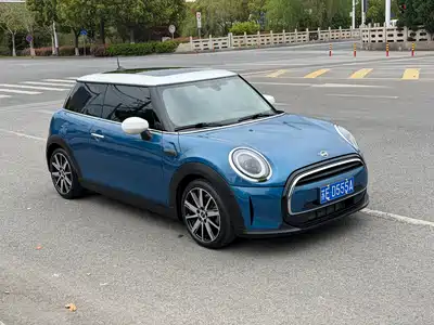 MINI MINI 2022