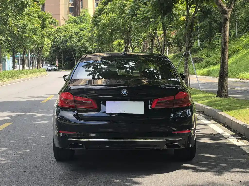 BMW 5 Series 2019