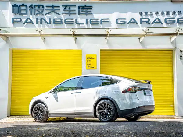 Tesla Model X 2019