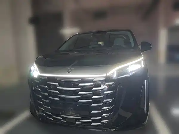 BYD Summer 2025