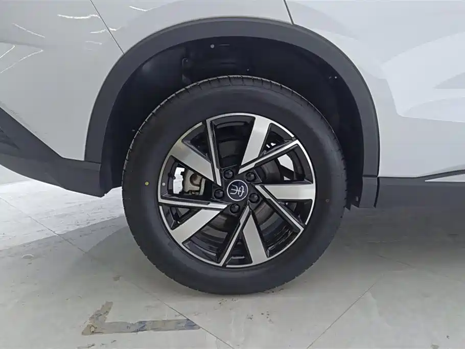 BYD Pro New Energy 2024 — фото 6