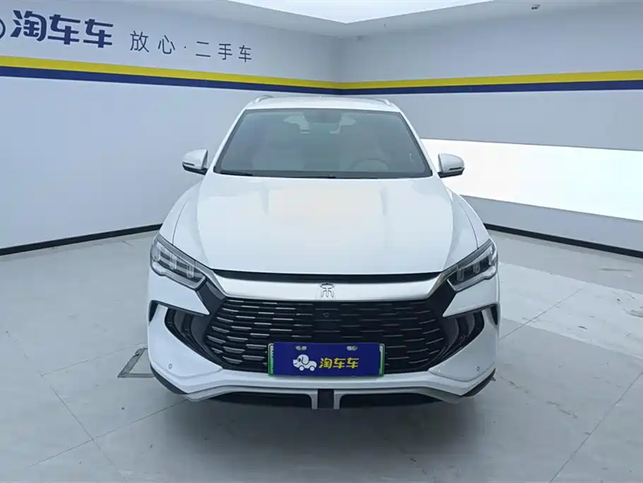BYD Pro New Energy 2024 — фото 2