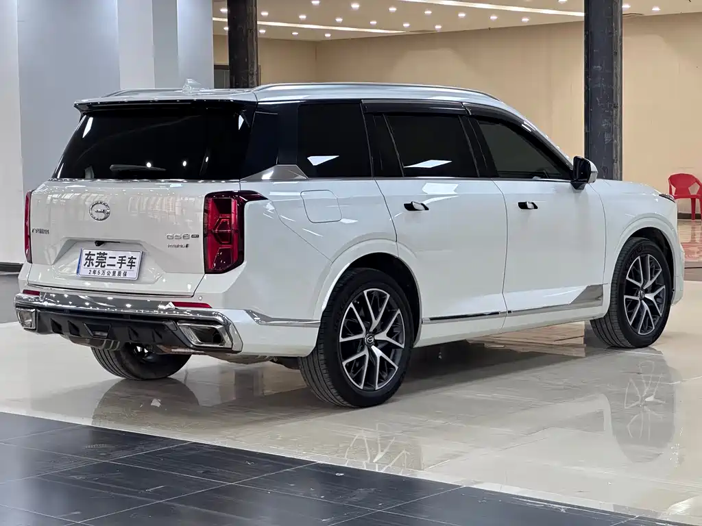 GAC Trumpchi GS8 2023 — фото 7