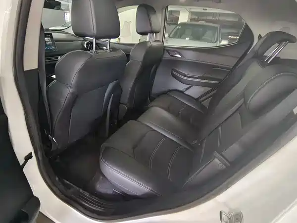 BYD Yuan New Energy 2019