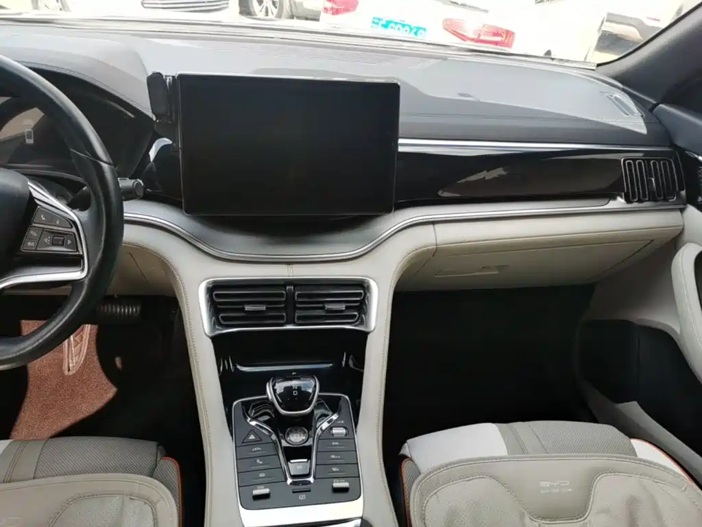 BYD PLUS New Energy 2023 — фото 13