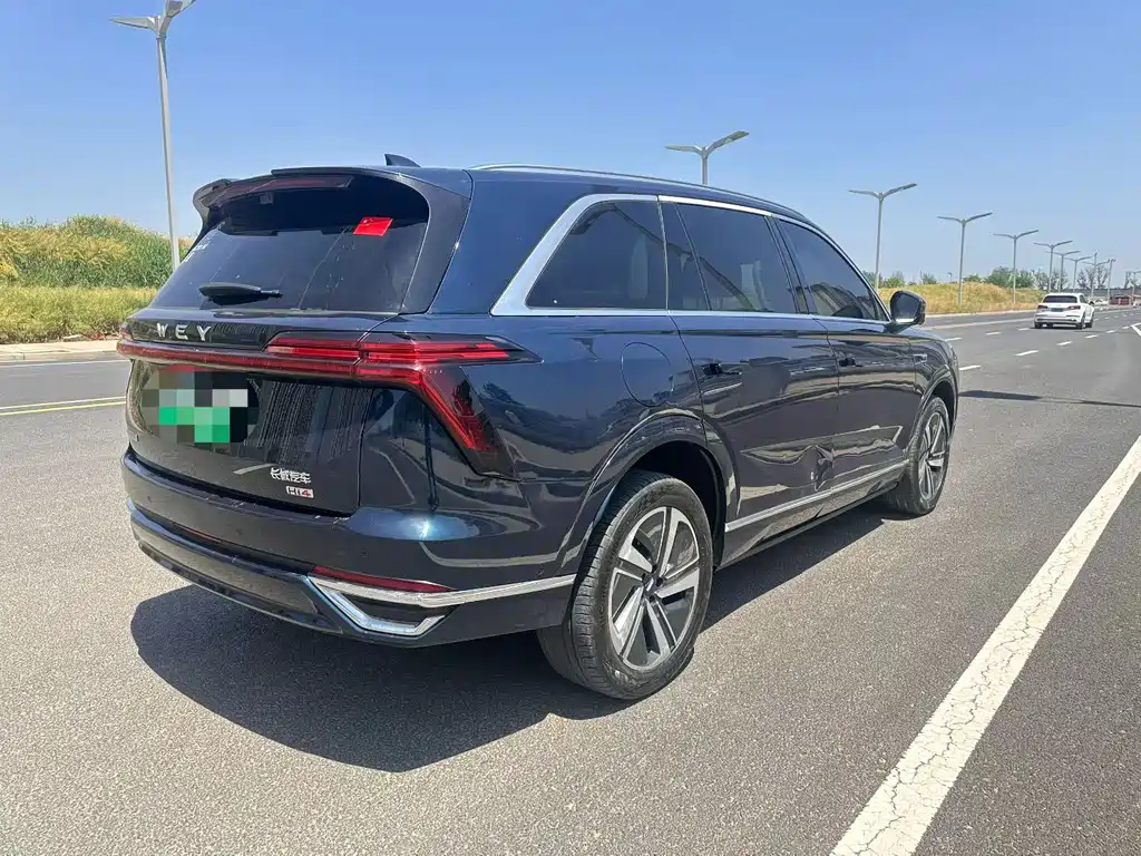 Wey Lanshan 2024