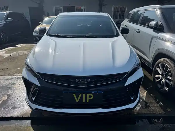 Geely Binrui 2023