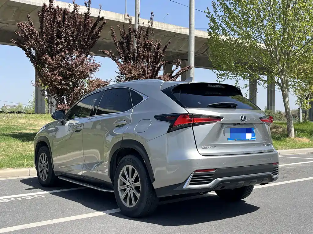 Lexus NX 2020 — фото 5