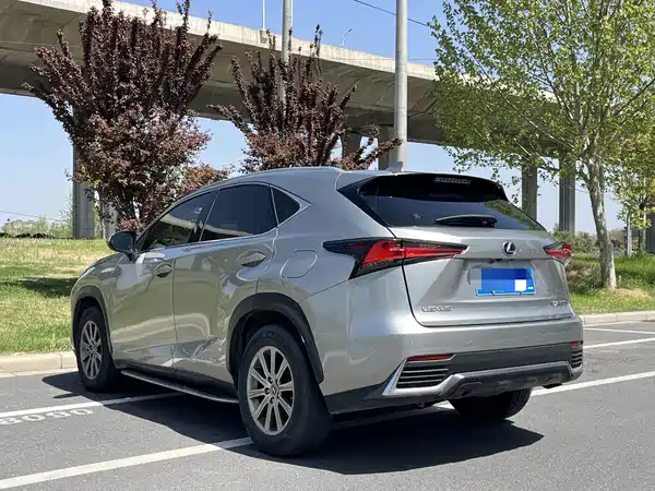 Lexus NX 2020
