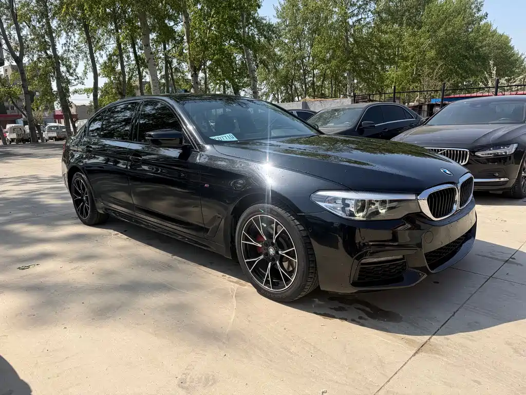 BMW 5 Series 2019