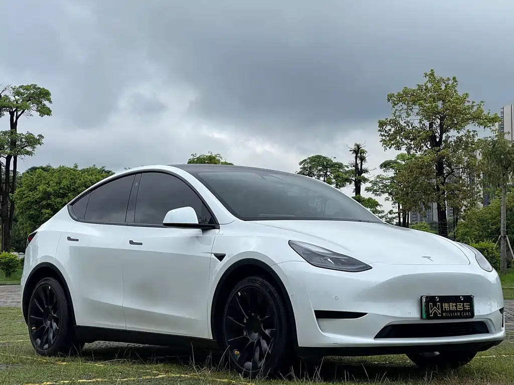 Tesla Model Y 2023 — фото 3