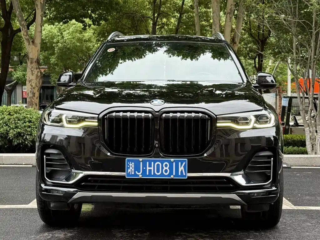BMW X7 2019