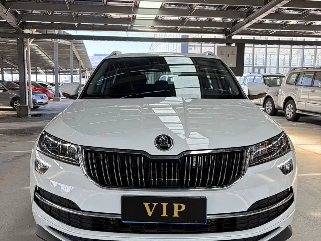 Skoda Karoq 2024 — фото 2