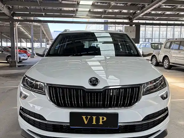 Skoda Karoq 2024