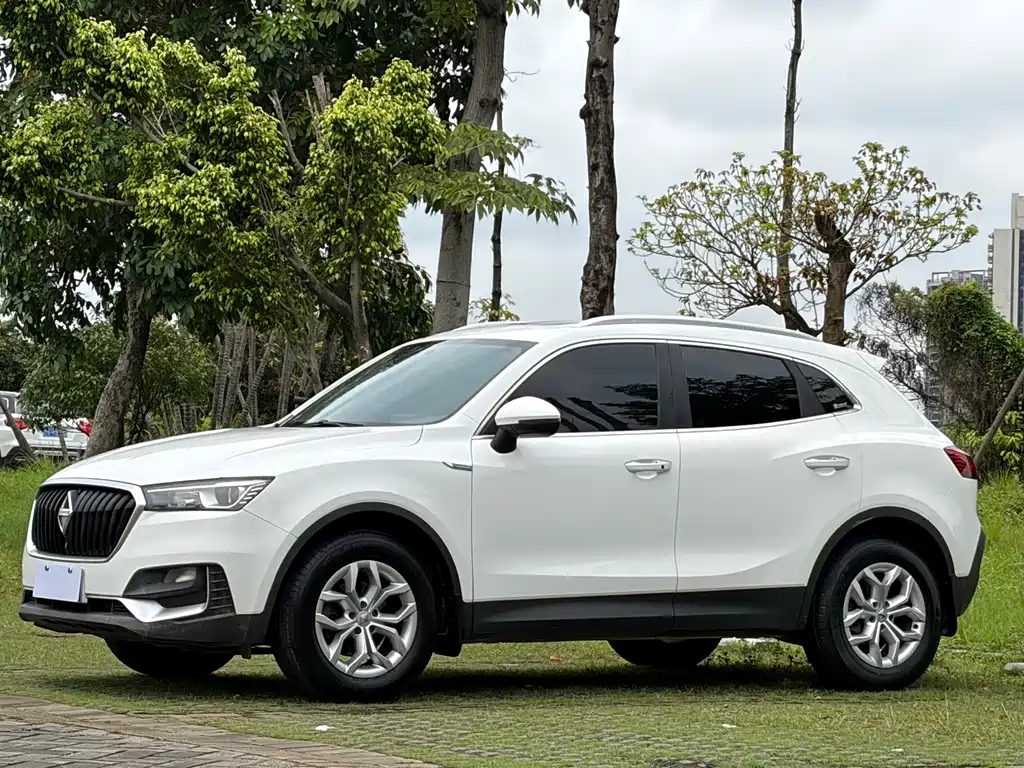 Borgward BX5 2019