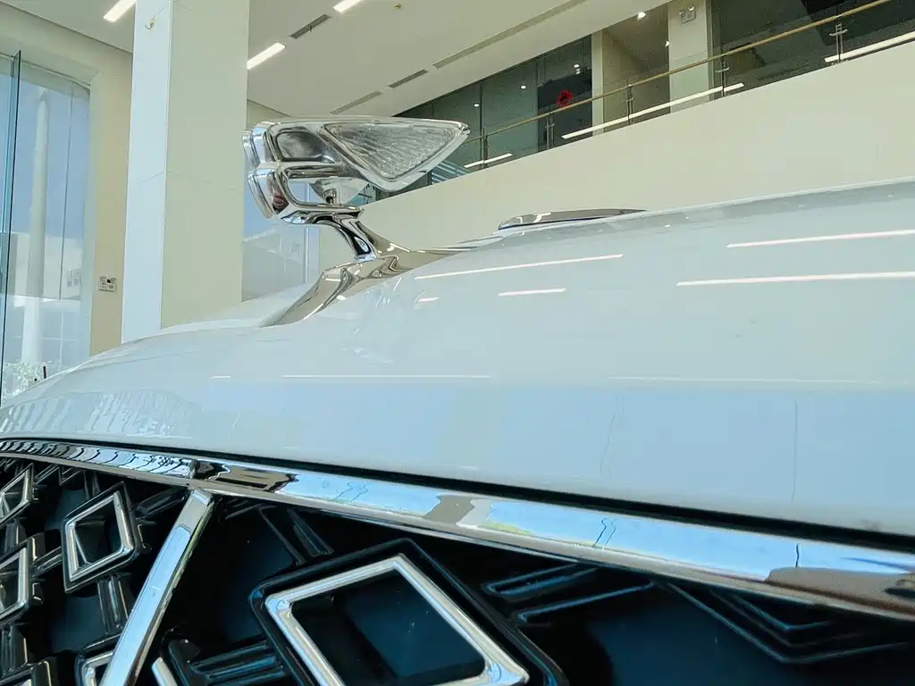 Bentley Flying Spur 2025 — фото 11