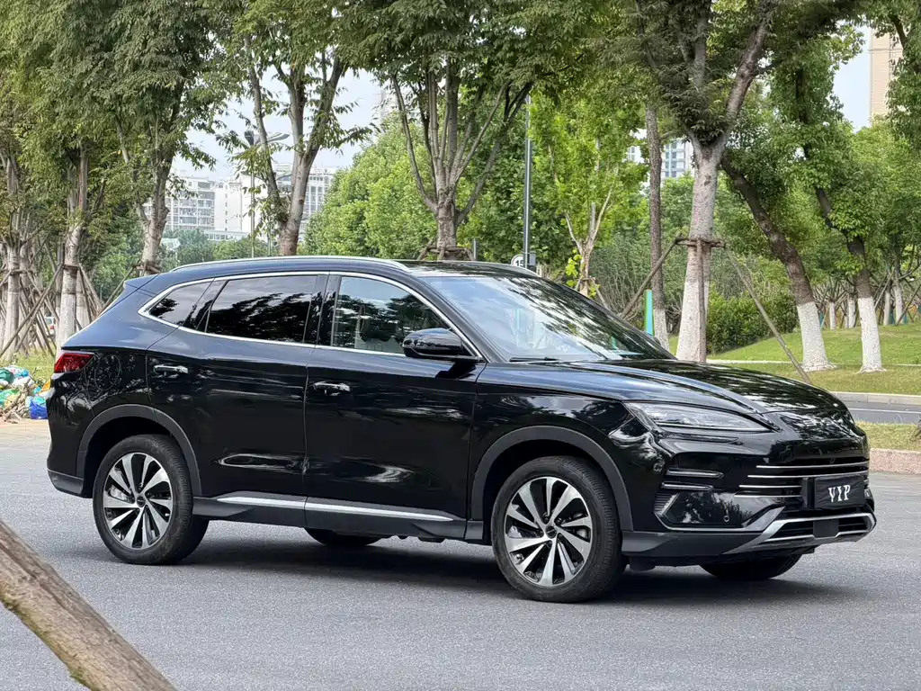 BYD PLUS New Energy 2025 — фото 3