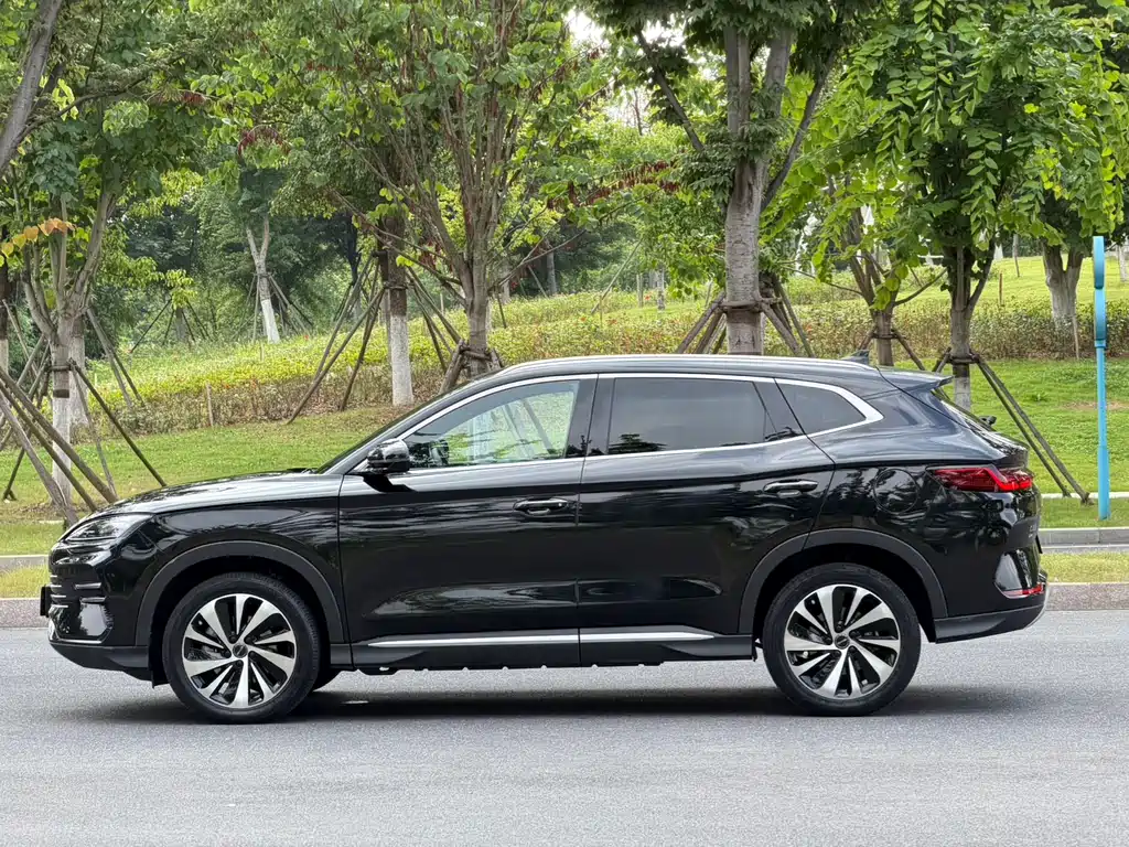 BYD PLUS New Energy 2025 — фото 12