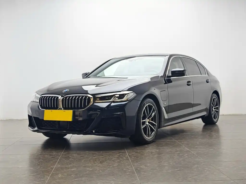 BMW 5 Series New Energy 2021 — фото 1