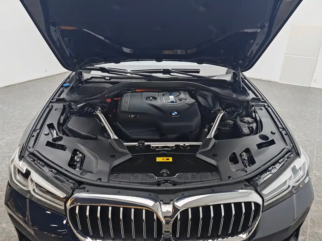 BMW 5 Series New Energy 2021 — фото 13
