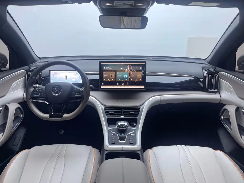 BYD Pro New Energy 2024 — фото 14