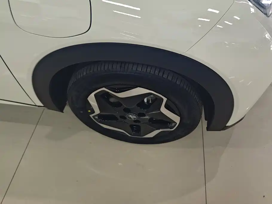 BYD Dolphin 2024