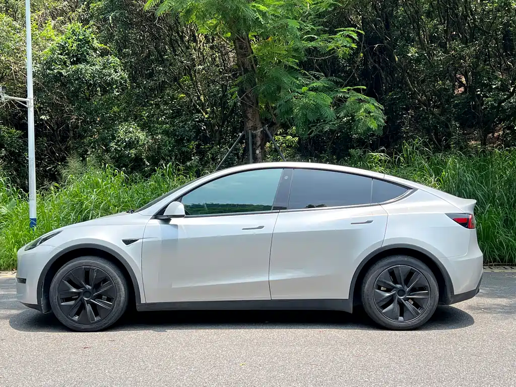 Tesla Model Y 2023 — фото 2