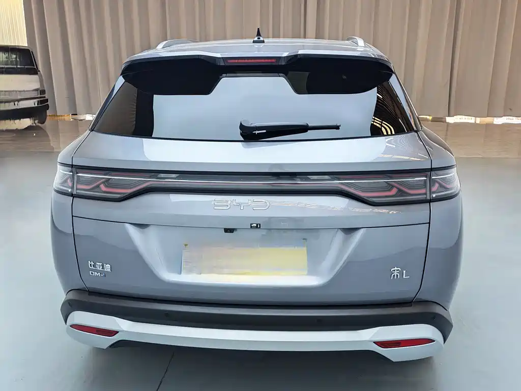 BYD L DM-i 2024 — фото 8