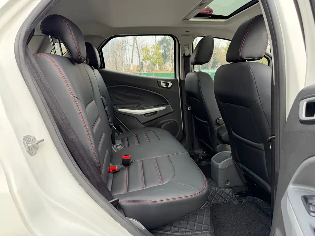 Ford Ecosport 2014 — фото 15