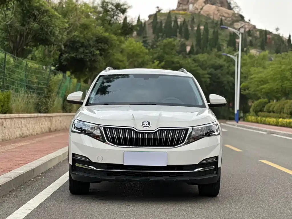 Skoda Kamiq 2022
