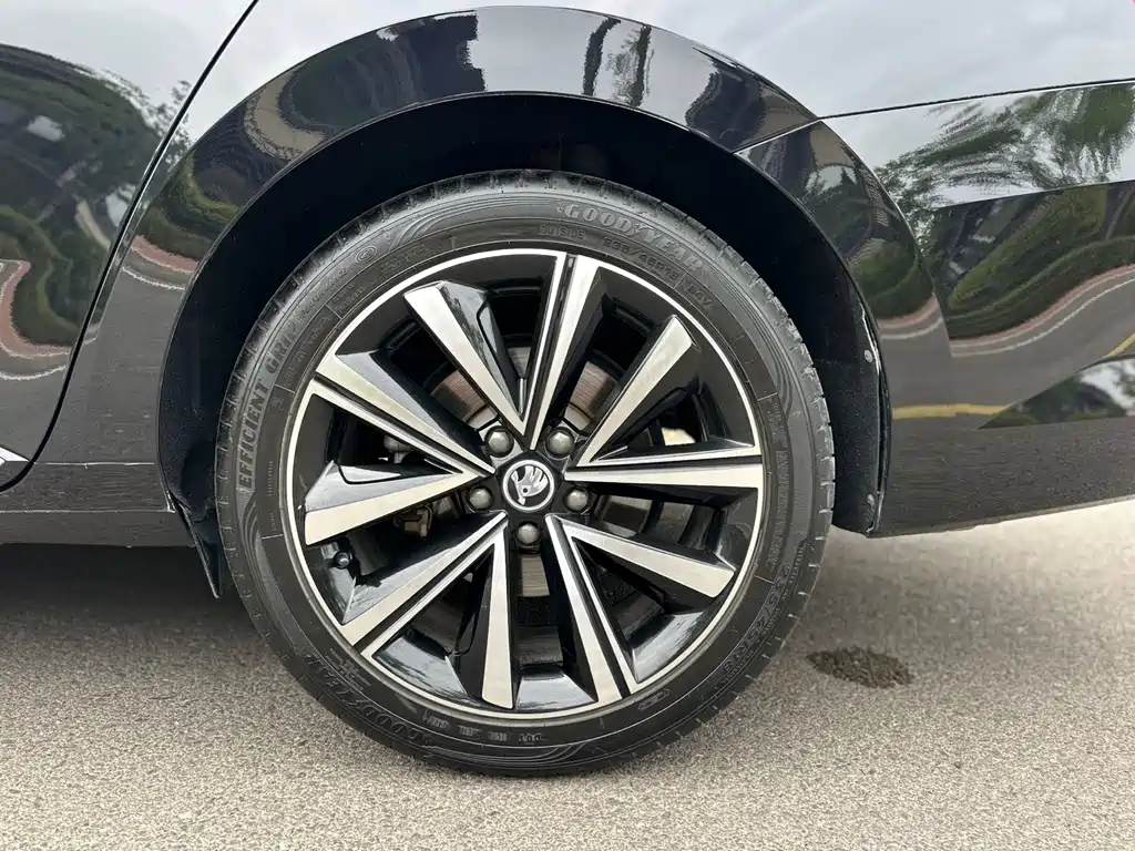 Skoda Speedy 2023 — фото 15