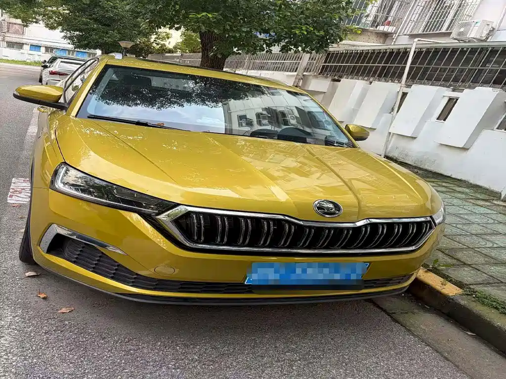 Skoda Kamiq 2021