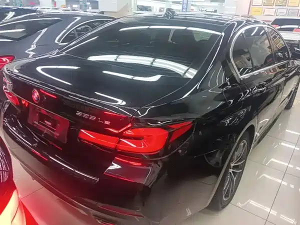 BMW 5 Series New Energy 2021